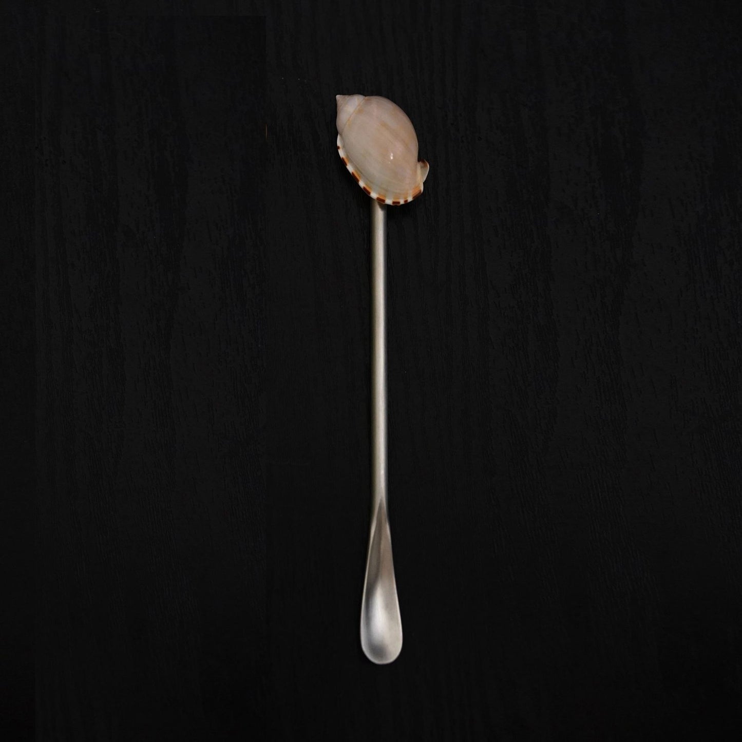 Concha Stirring Spoon